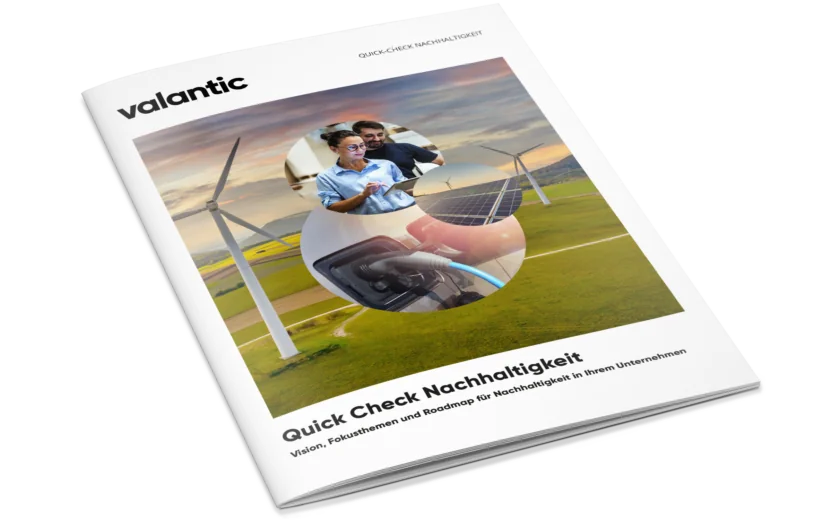 Mockup Quick check Nachhaltigkeit Mockup Quick check Nachhaltigkeit und Nachhaltigkeitsberatung
